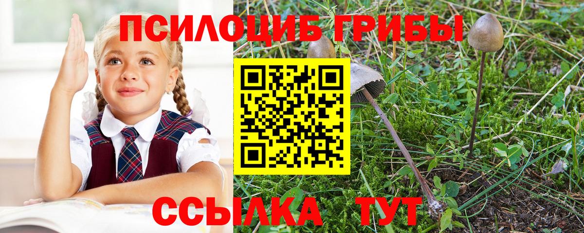 Родники  Псилоцибиновые грибы мухоморы  Вход с VPN 