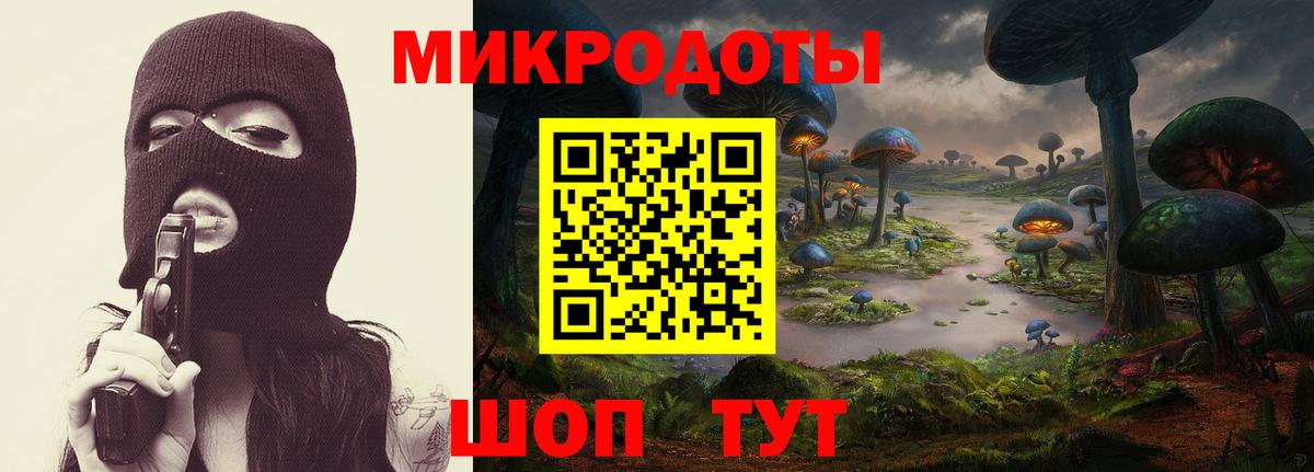 Галлюциногенные грибы Psilocybe Родники